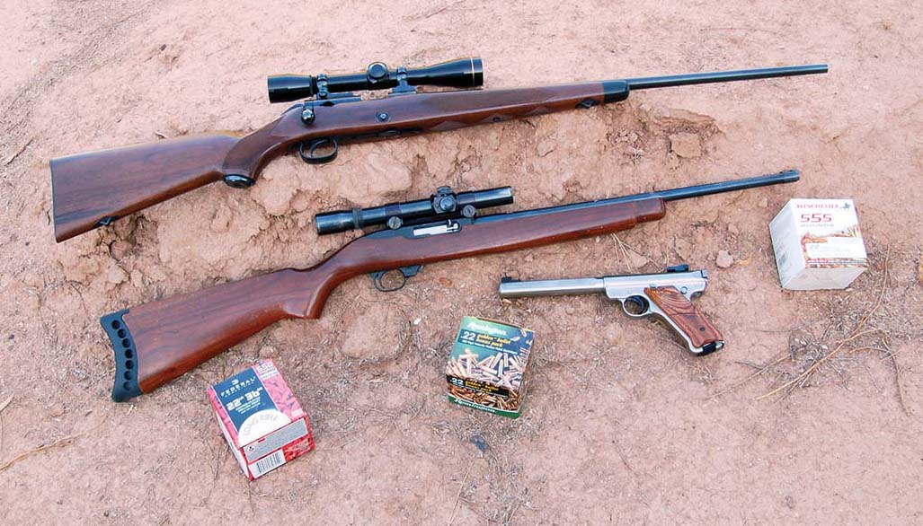 Guns used in testing current ammunition (top to bottom): Japanese-made Winchester M52, Ruger 10/22 and Ruger Mark II Target.